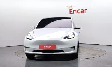 Model Y