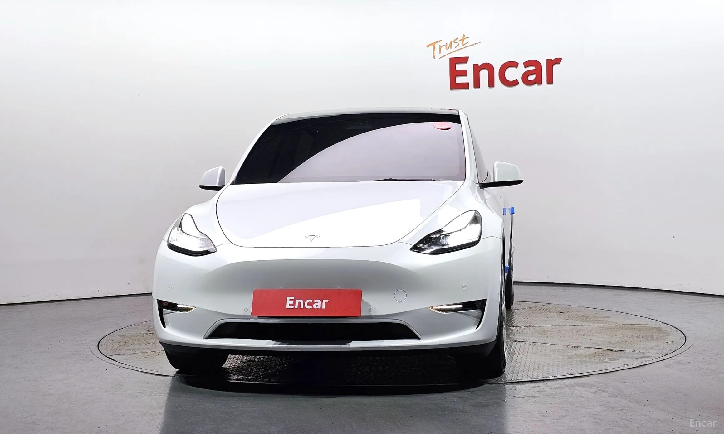 Model Y