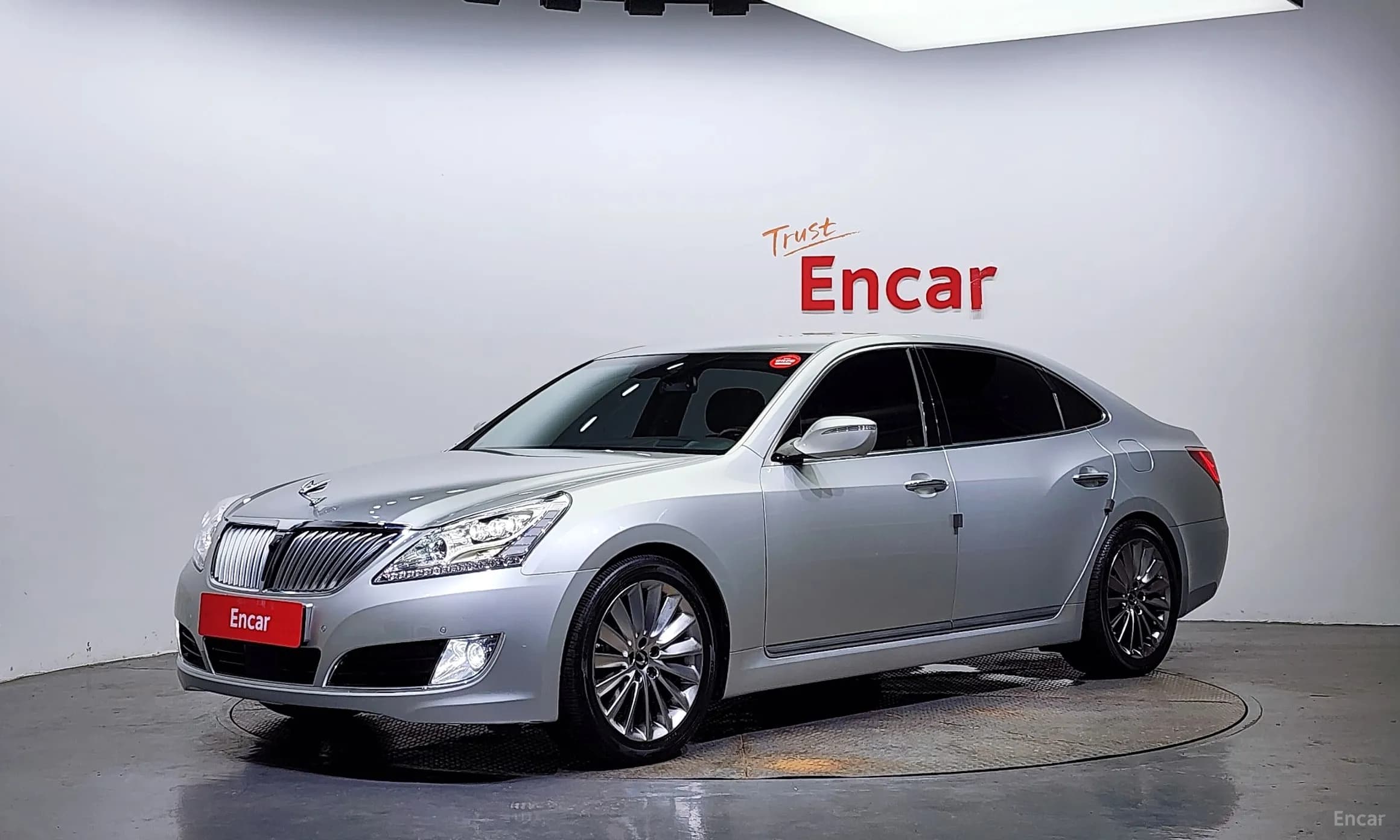 Equus (new)