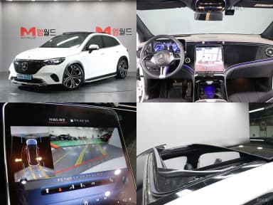 EQE SUV X294