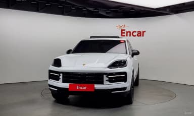 Cayenne (PO536)