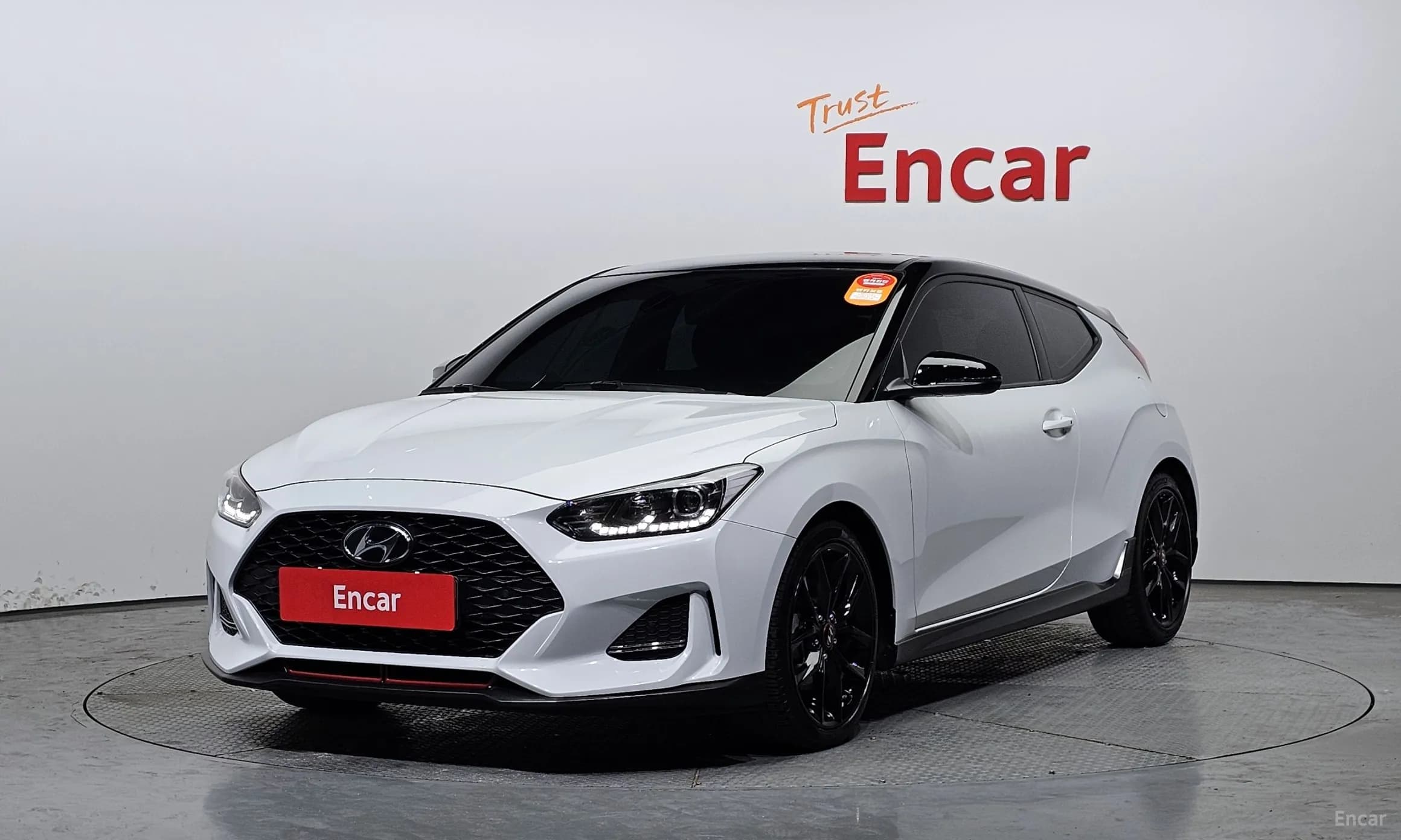 Veloster (JS)