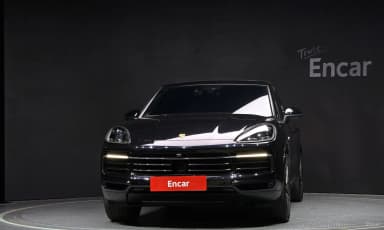 Cayenne (PO536)