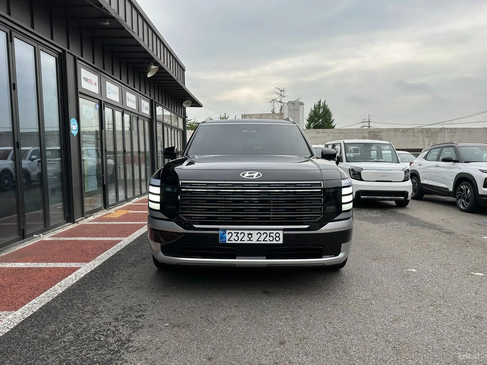 Palisade (LX3)