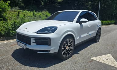 Cayenne (PO536)