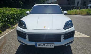 Cayenne (PO536)