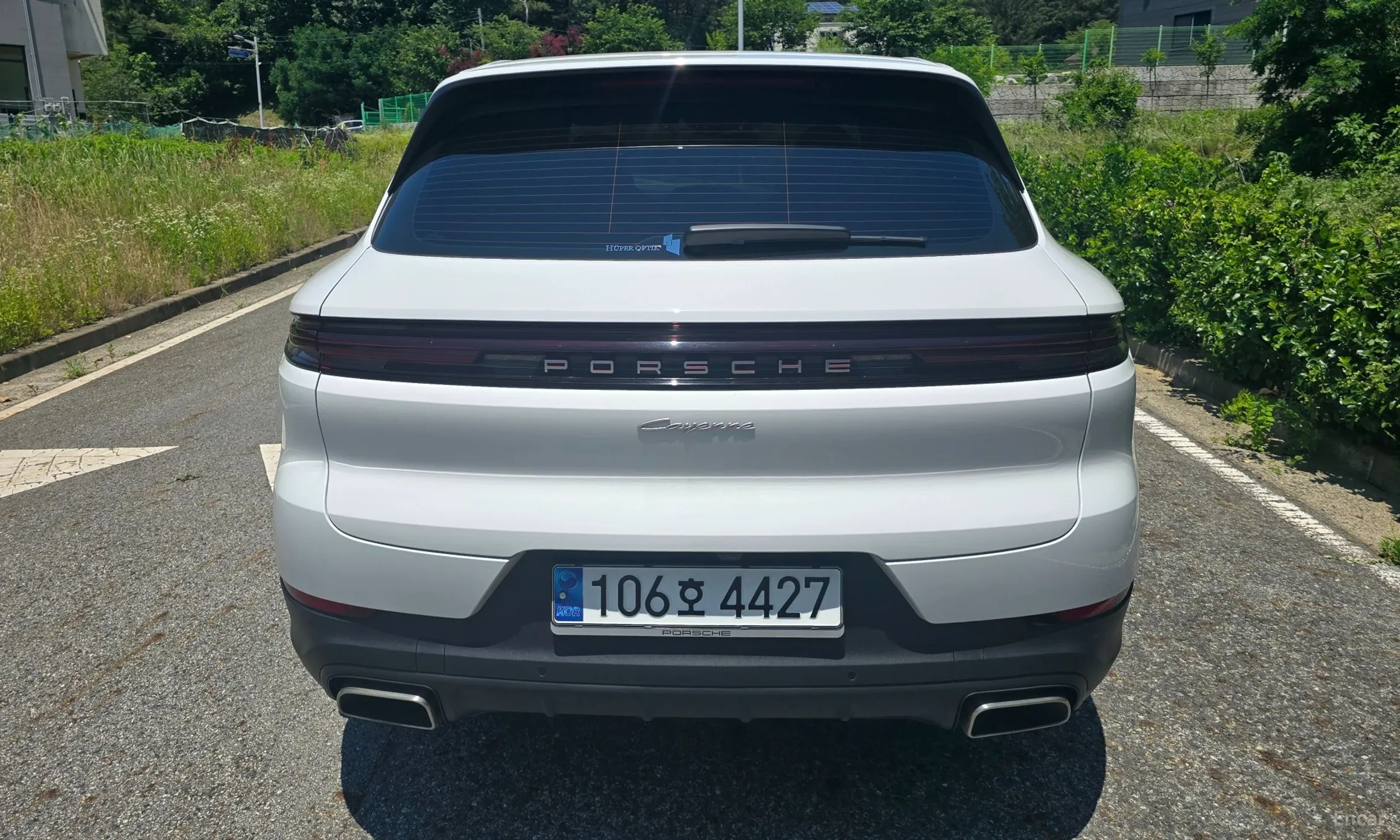 Cayenne (PO536)