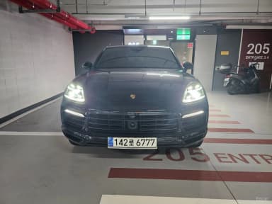 Cayenne (PO536)