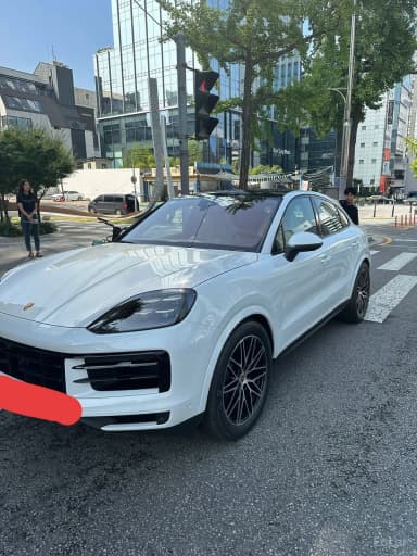 Cayenne (PO536)