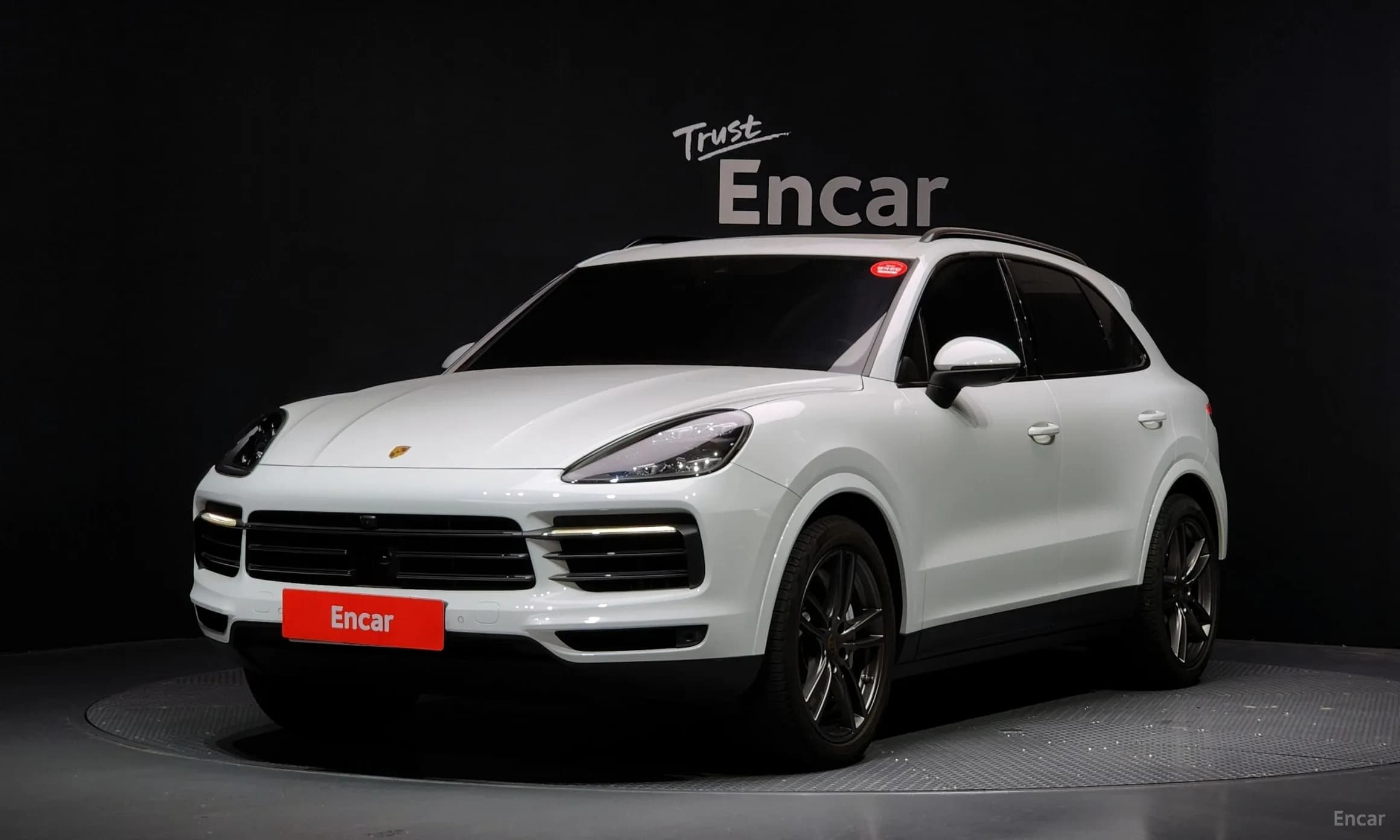 Cayenne (PO536)