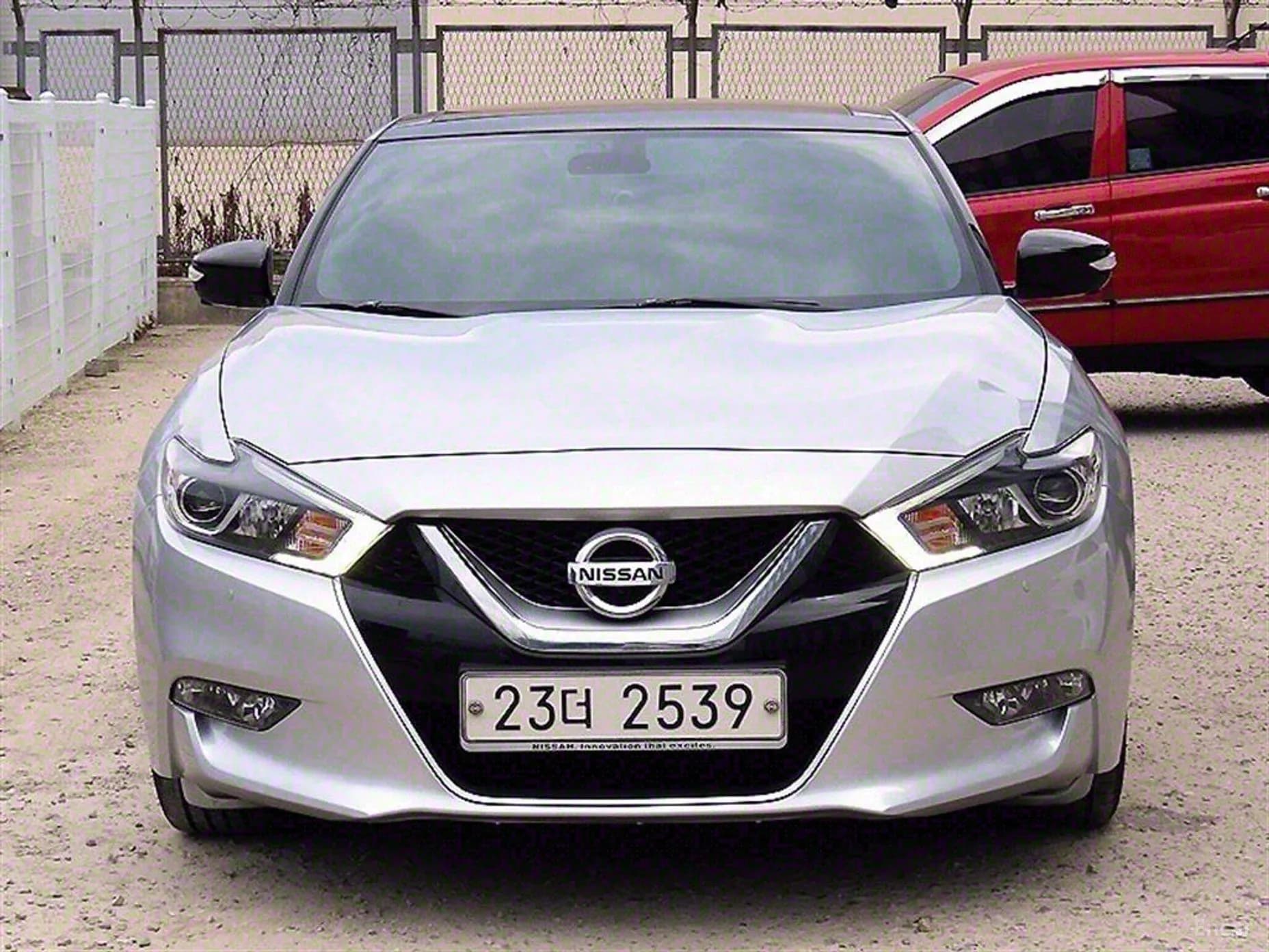 Maxima (A36)