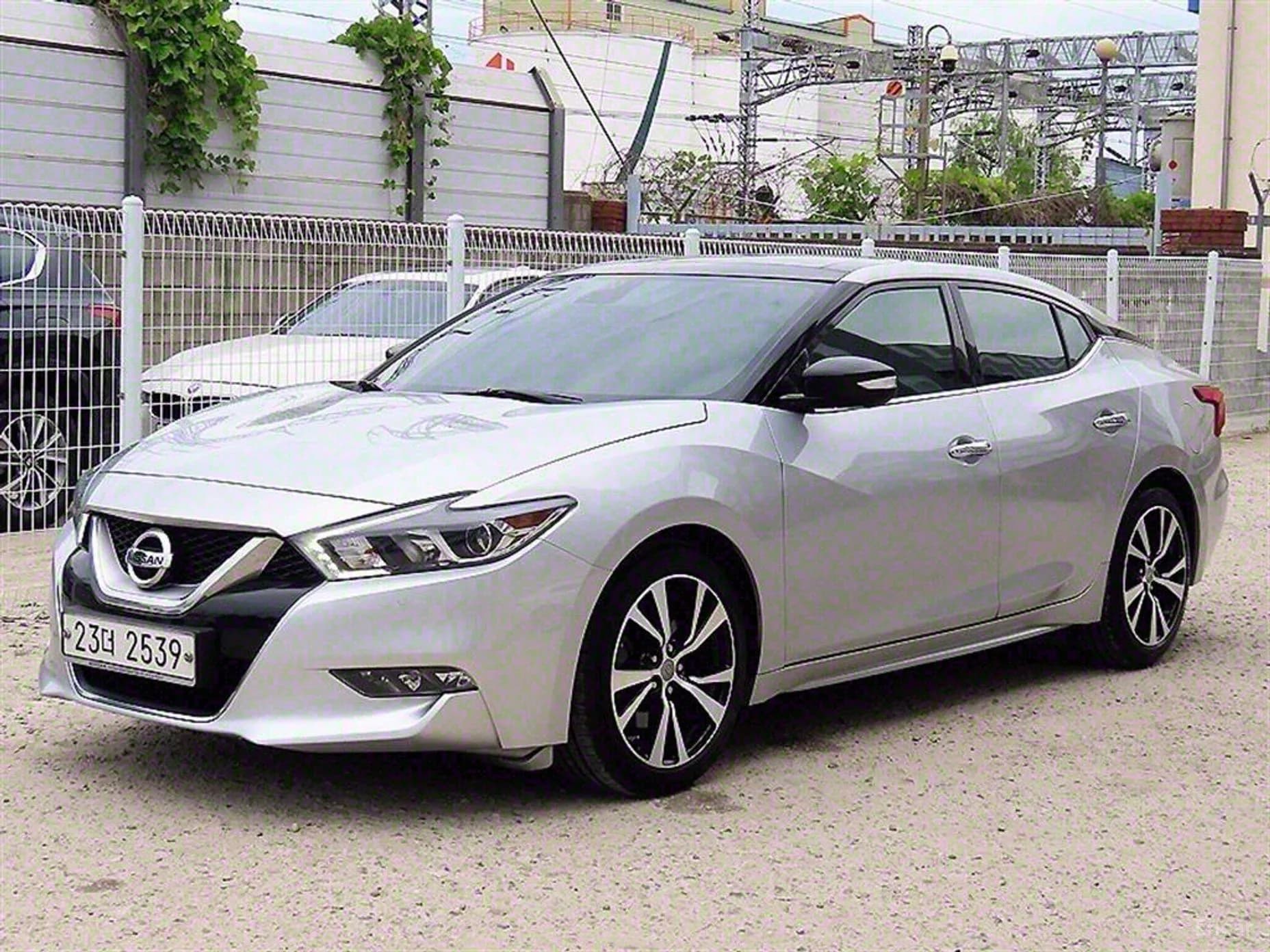 Maxima (A36)