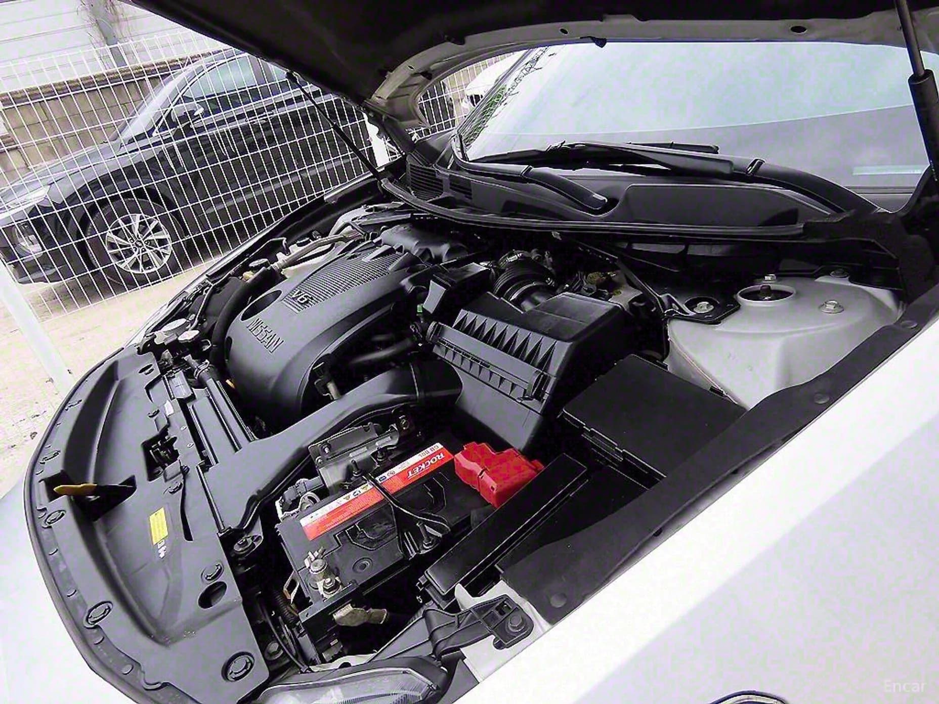 Maxima (A36)