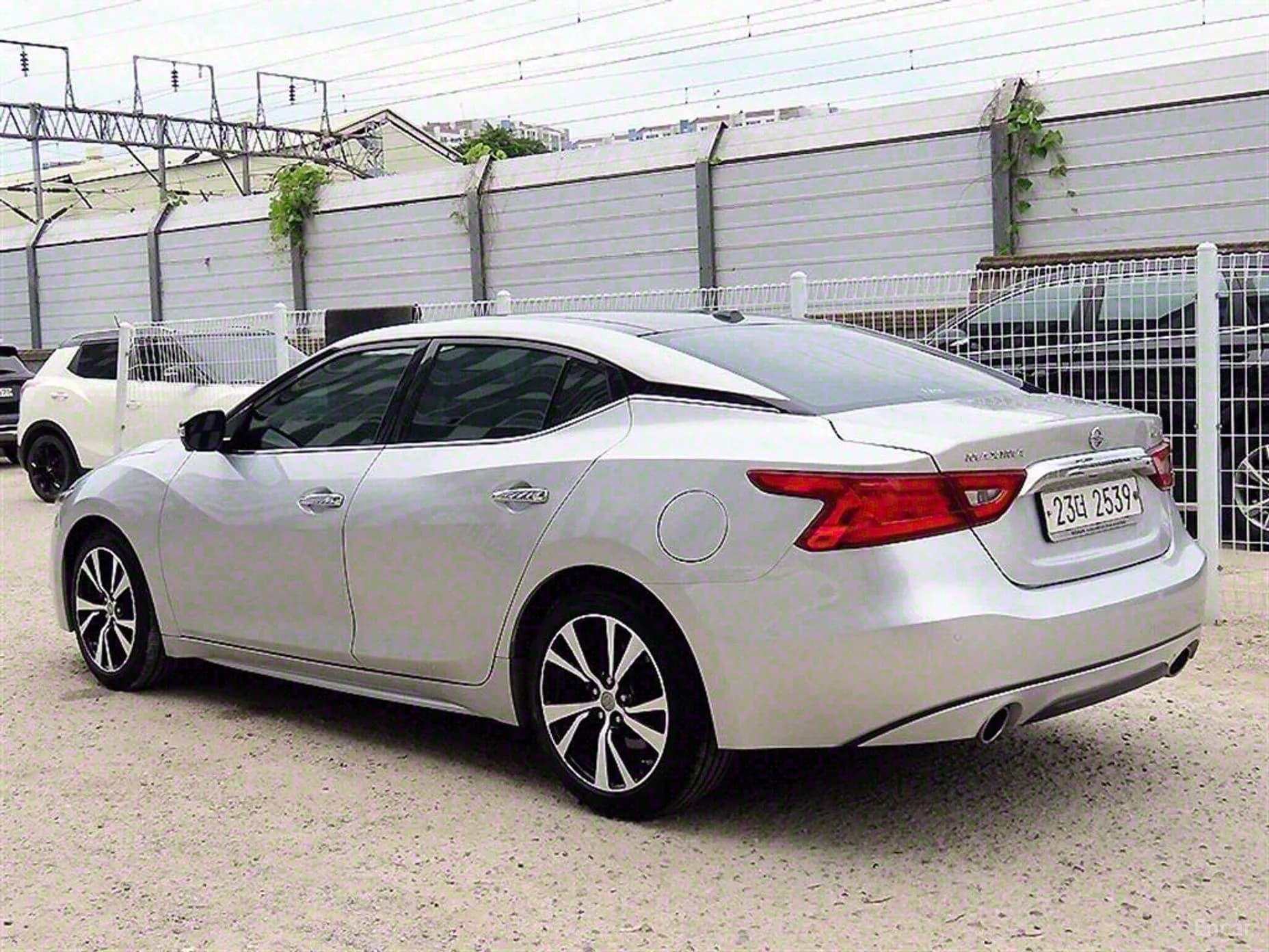 Maxima (A36)