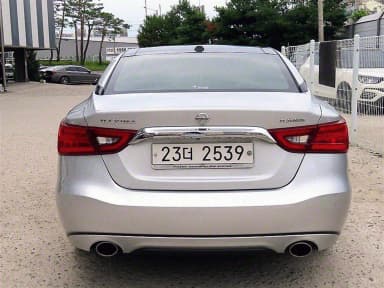Maxima (A36)