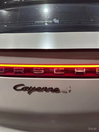 Cayenne (PO536)