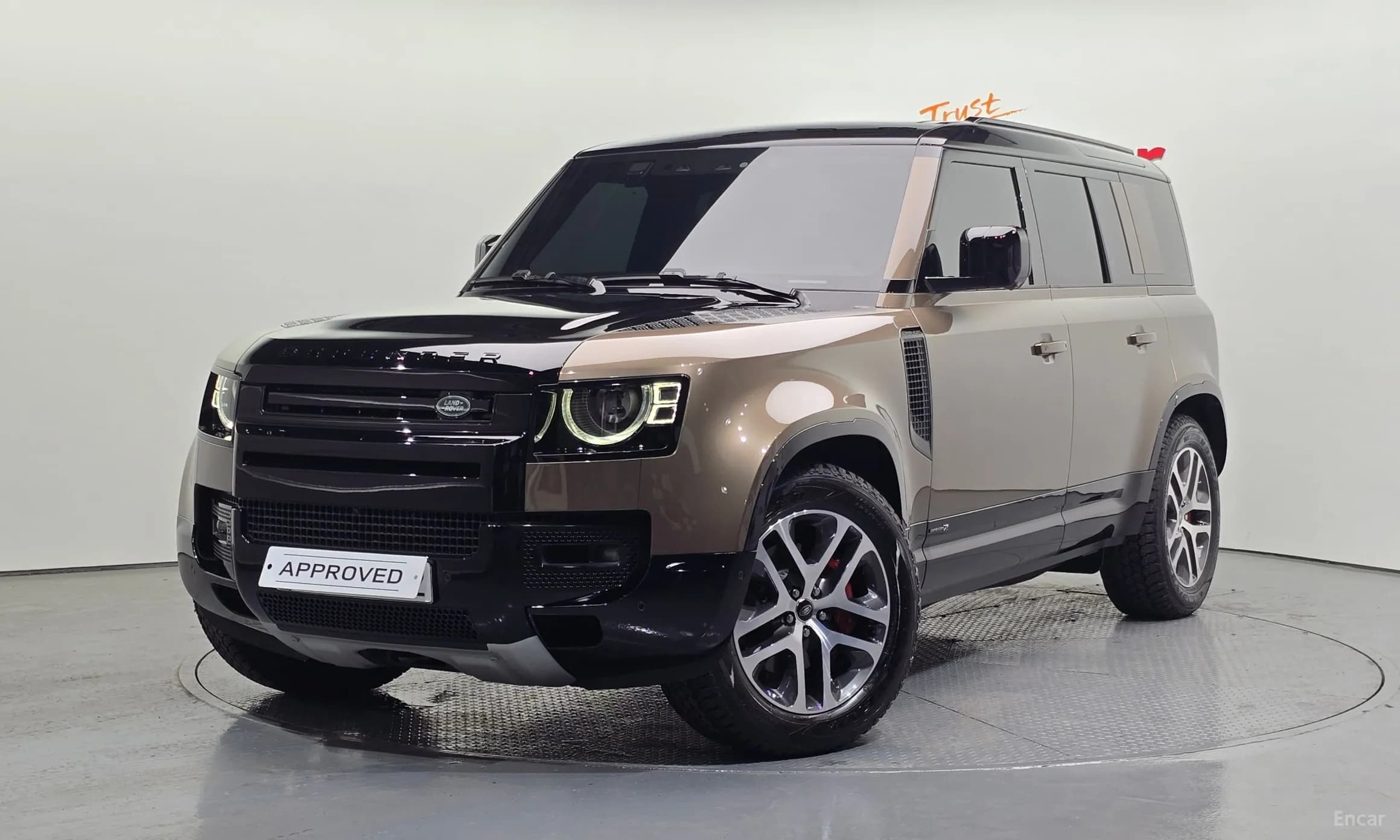 Defender (L663)