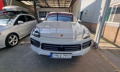 Cayenne (PO536)