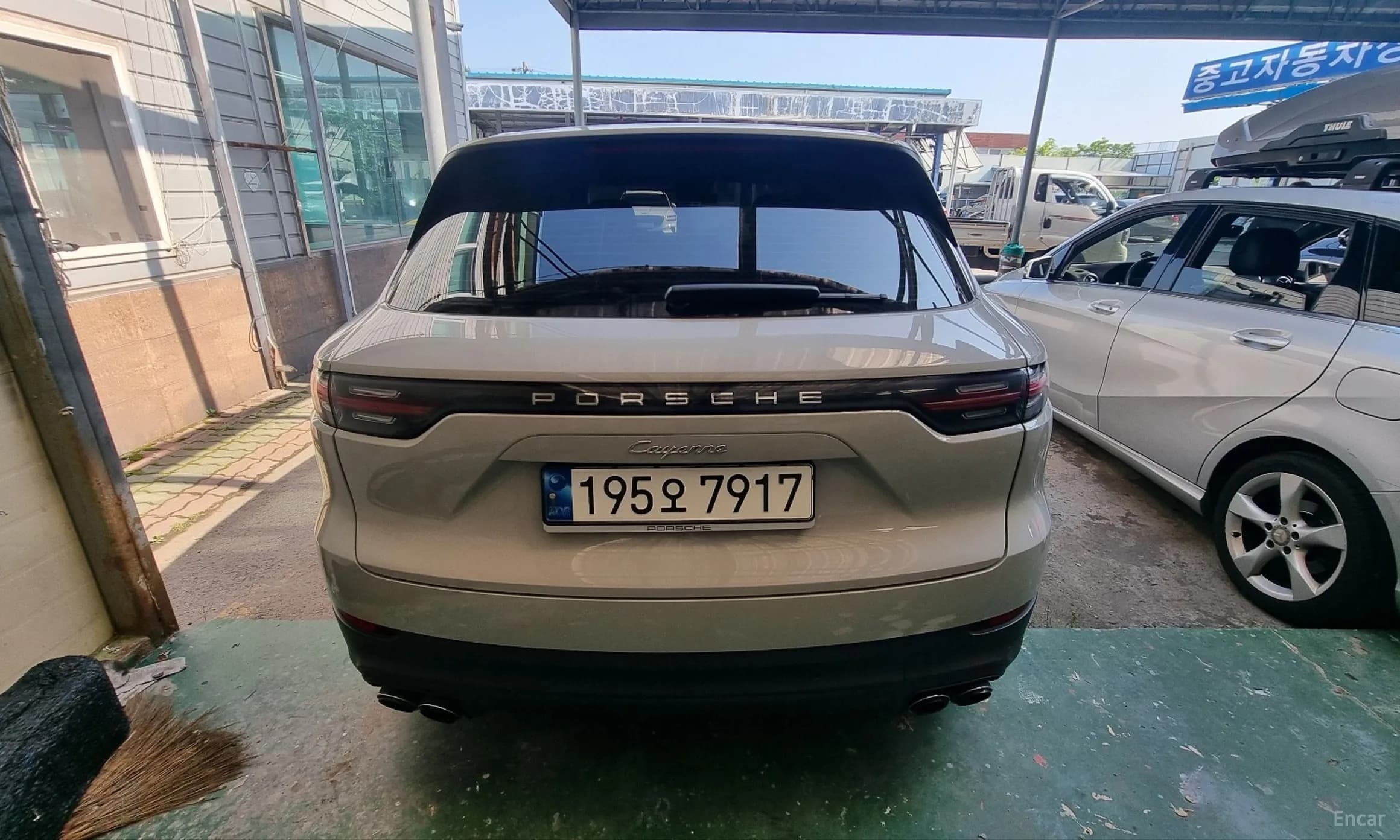 Cayenne (PO536)