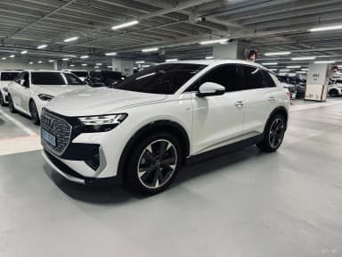 Q4 e-tron (F4)