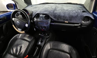 New Beetle