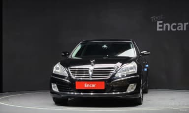 Equus (new)