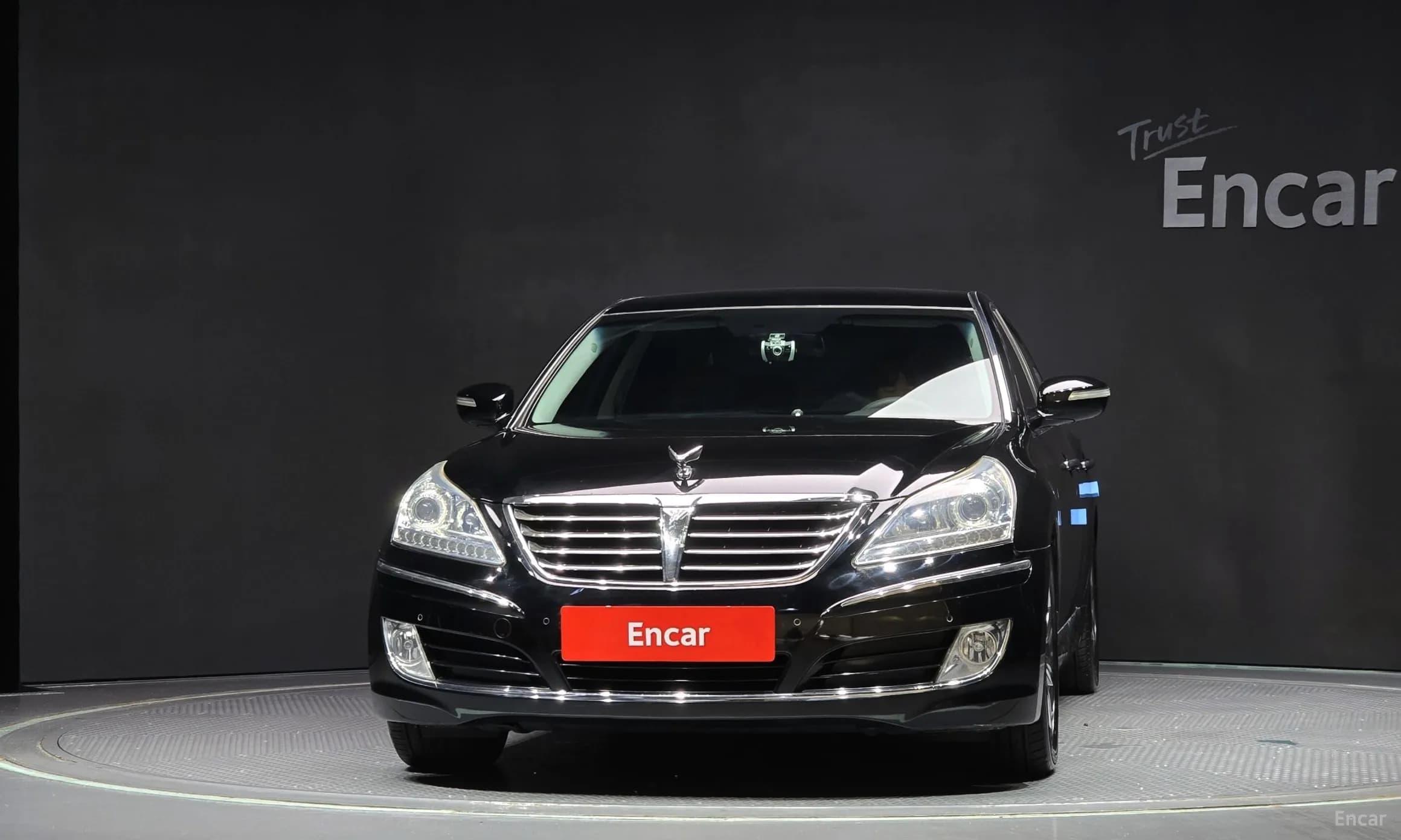 Equus (new)