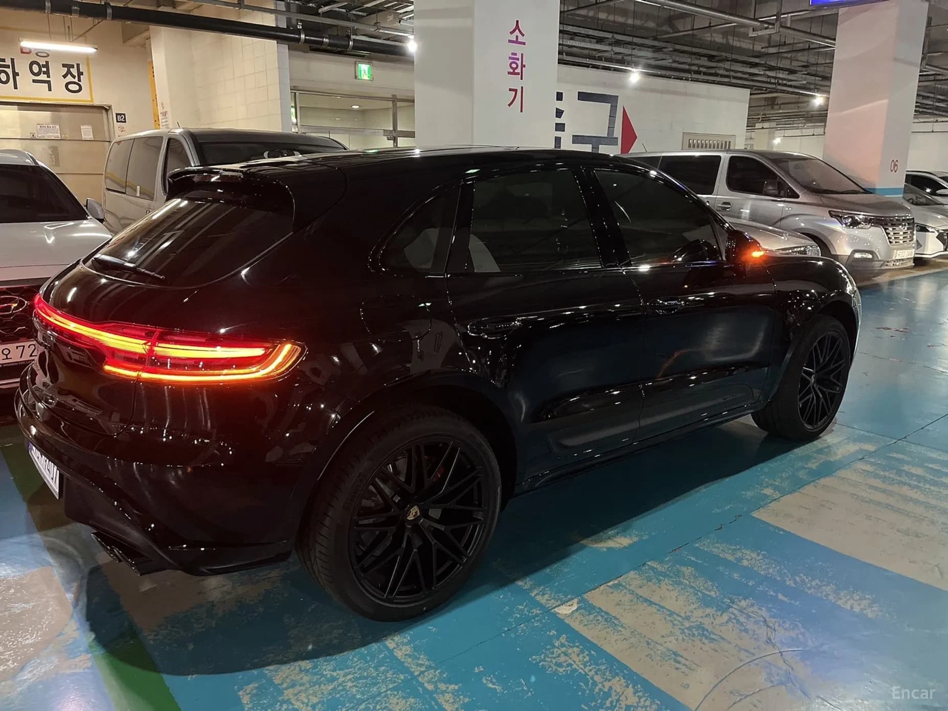 Macan