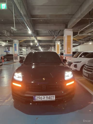 Macan