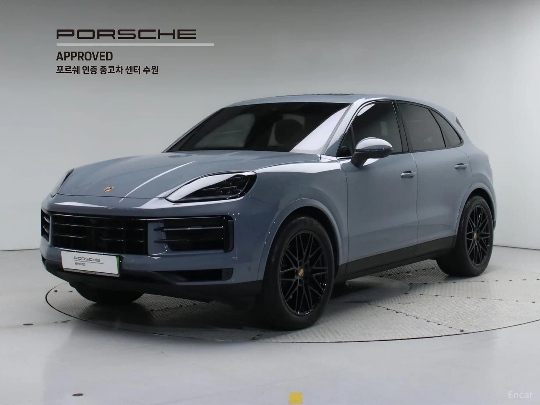 Cayenne (PO536)