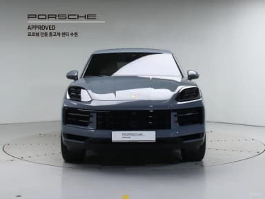 Cayenne (PO536)