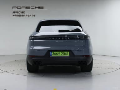 Cayenne (PO536)