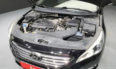 LF Sonata