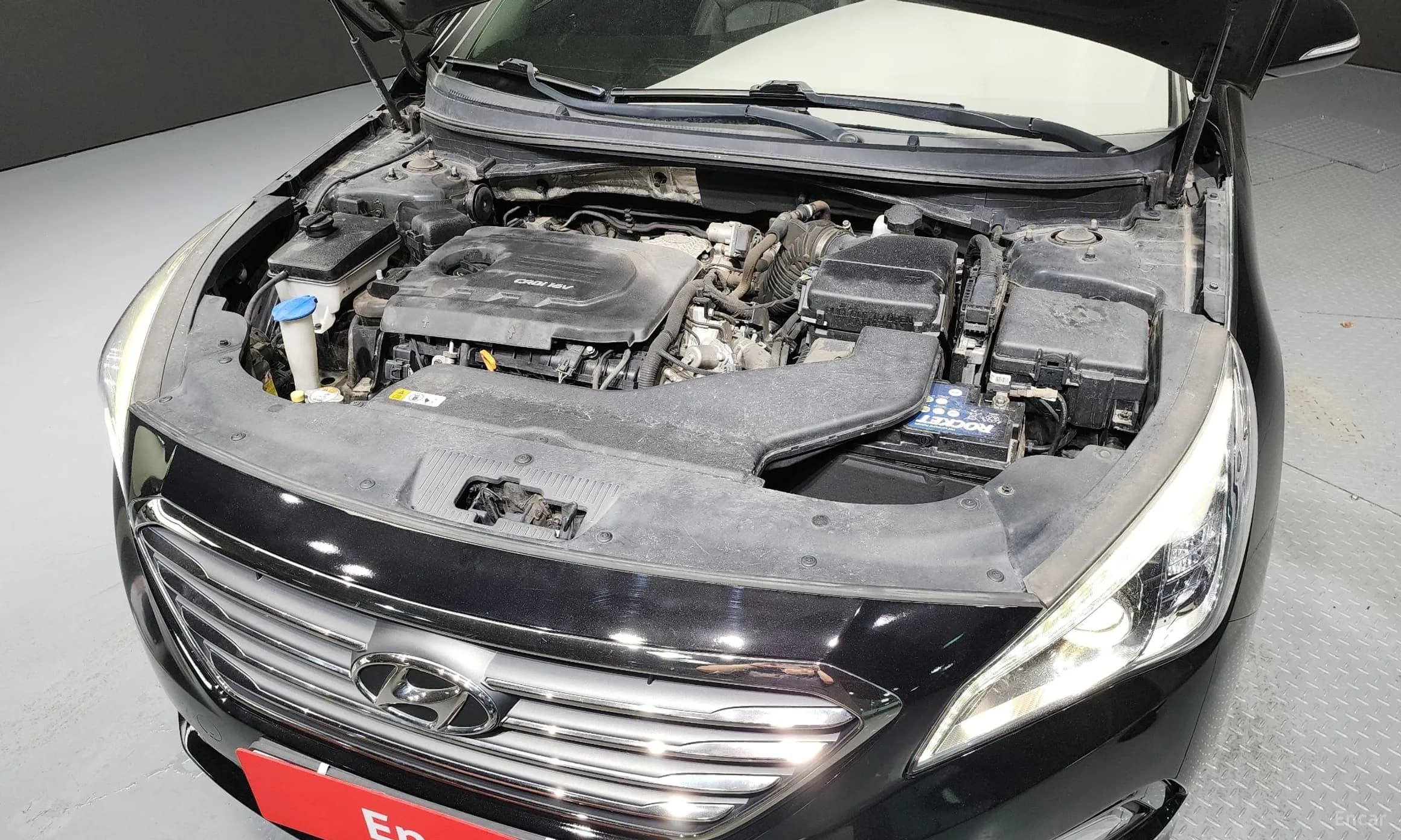 LF Sonata