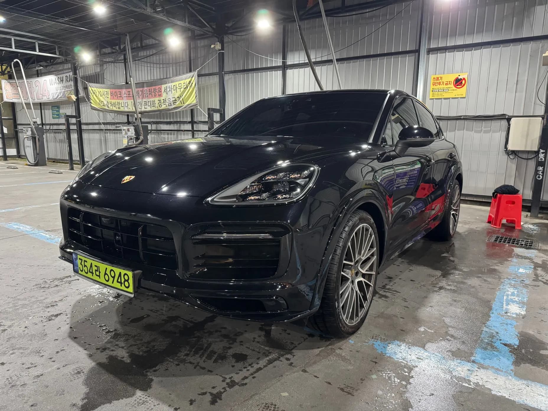 Cayenne (PO536)