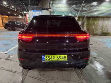 Cayenne (PO536)