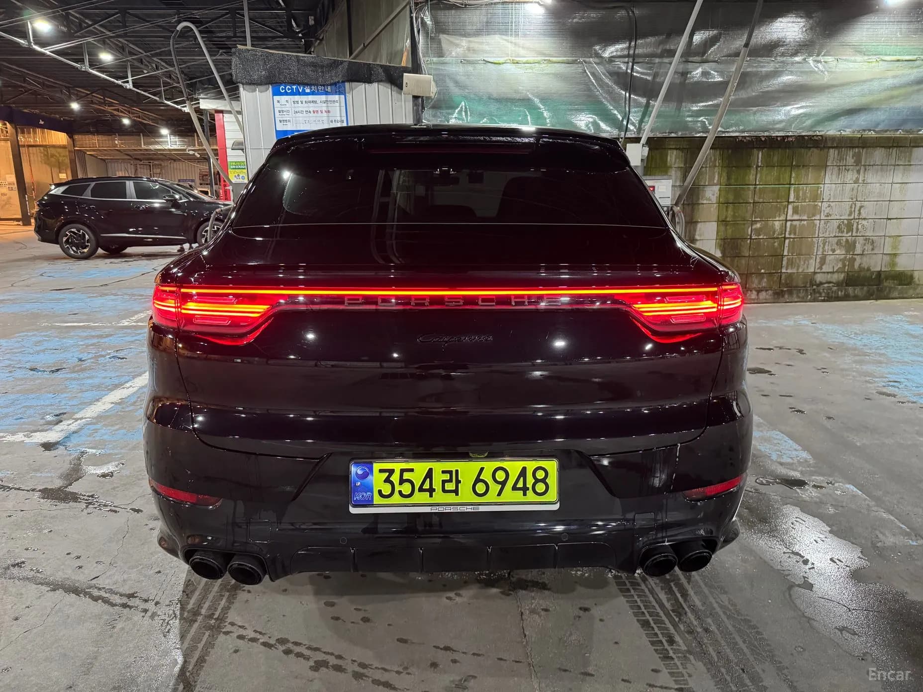 Cayenne (PO536)