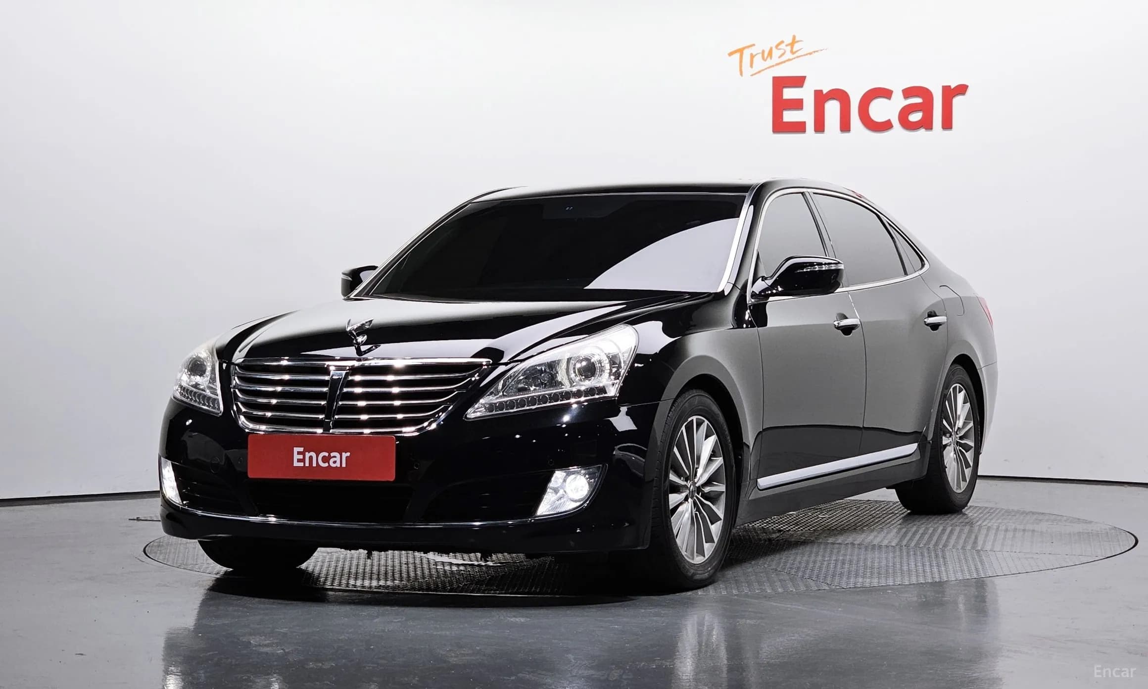 Equus (new)