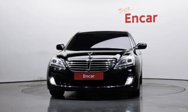 Equus (new)