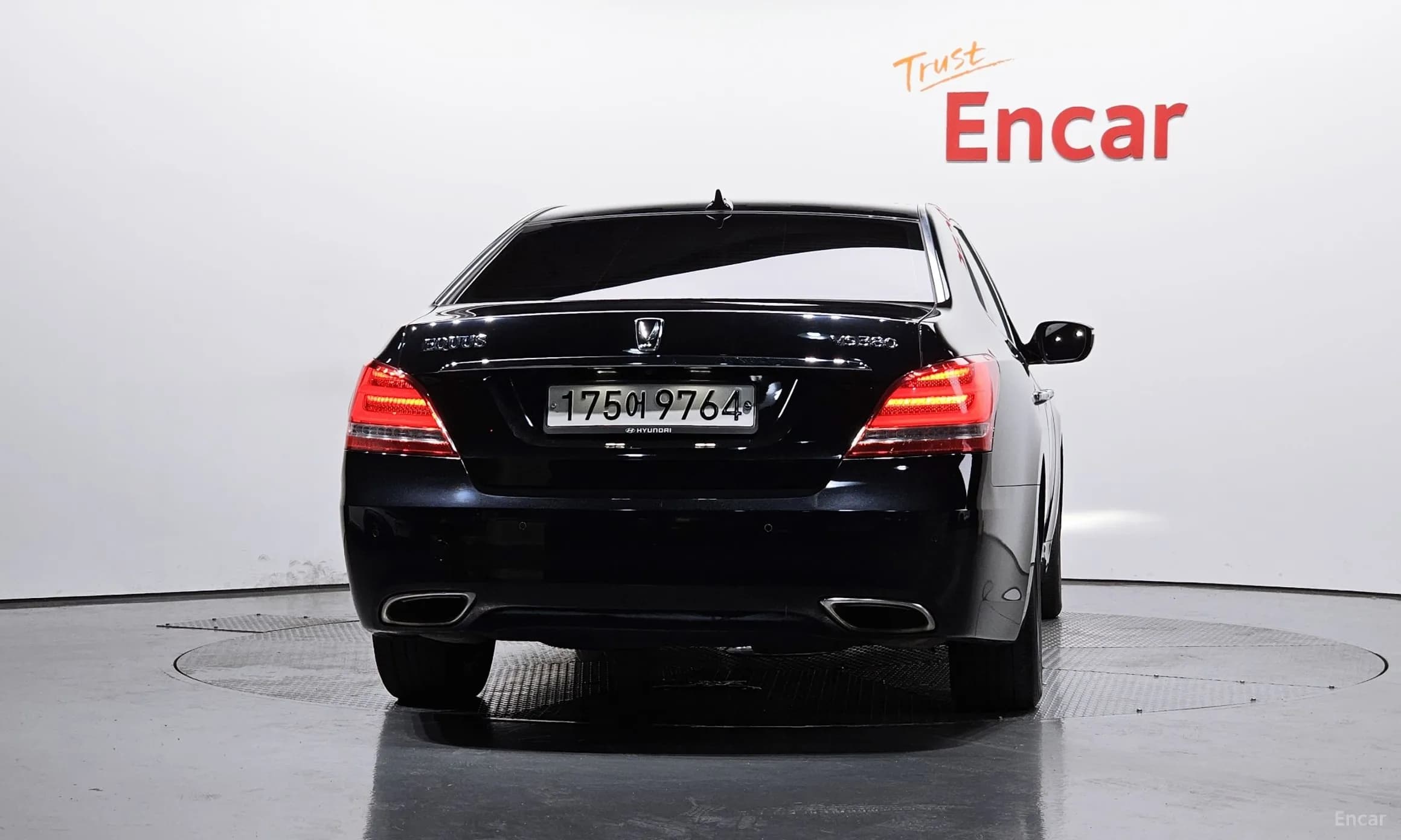 Equus (new)