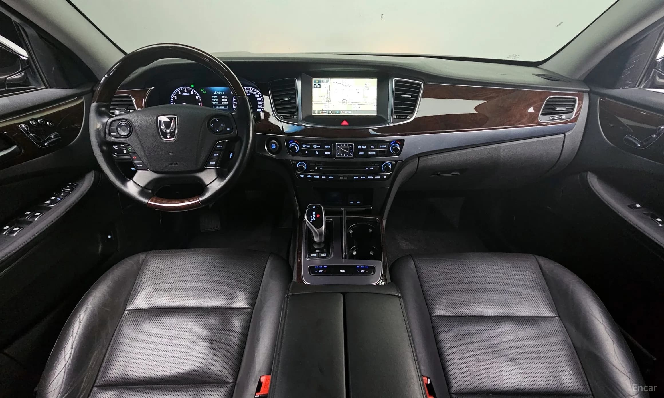 Equus (new)