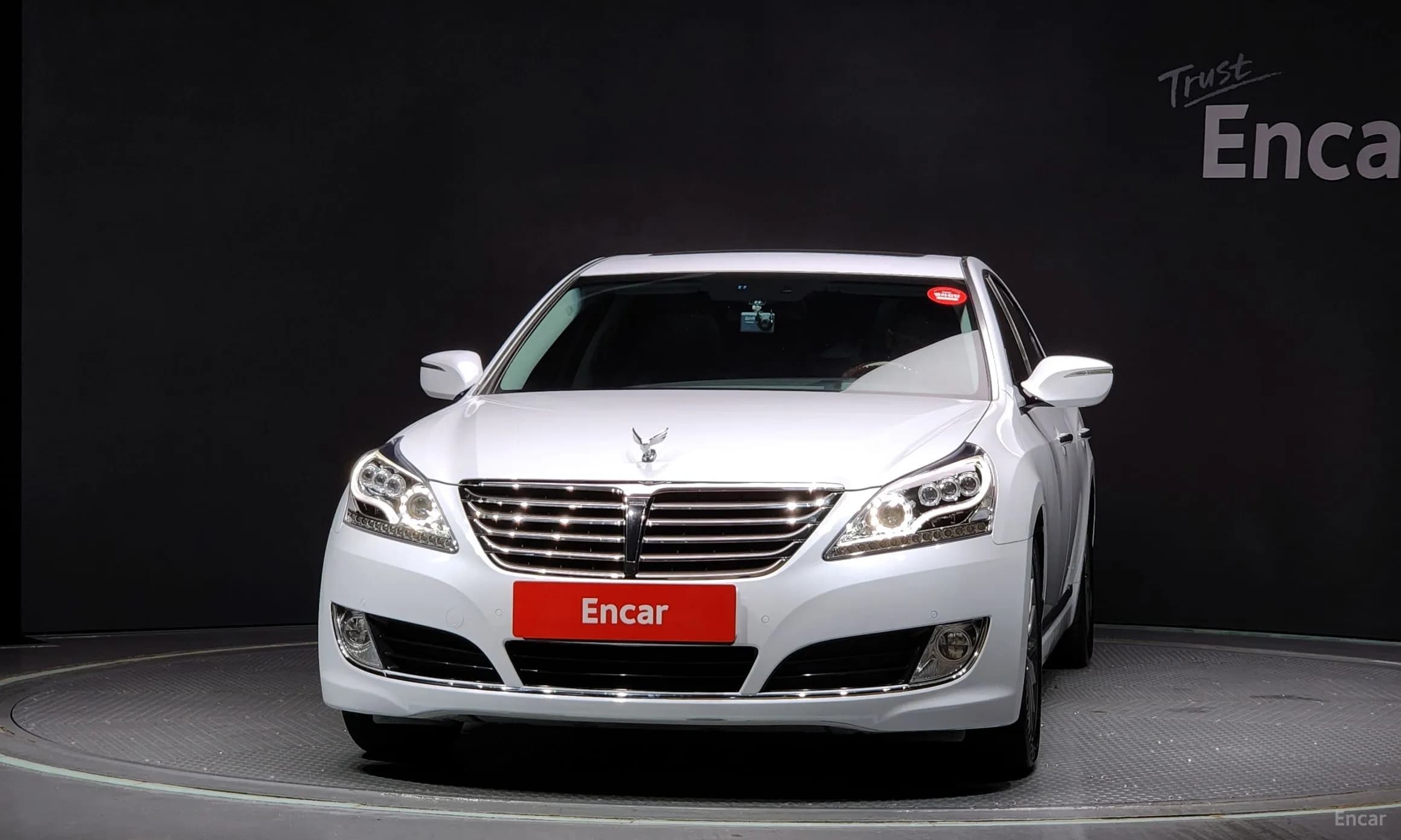 Equus (new)