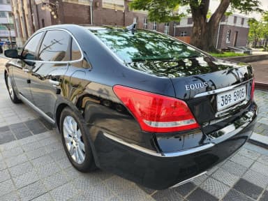 Equus (new)