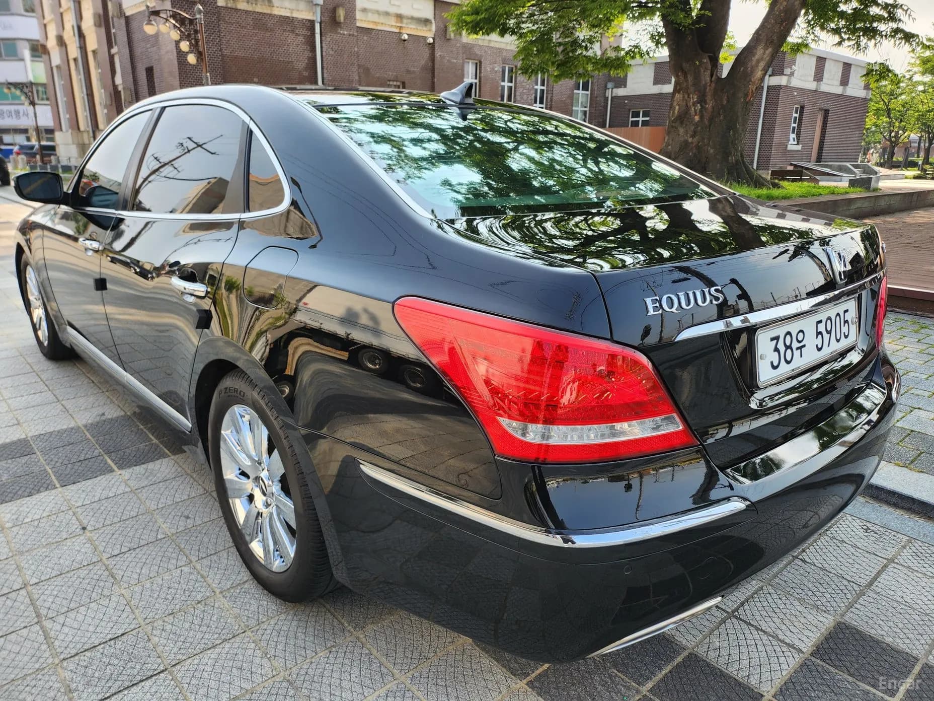 Equus (new)