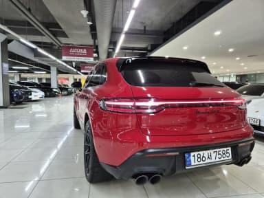 Macan