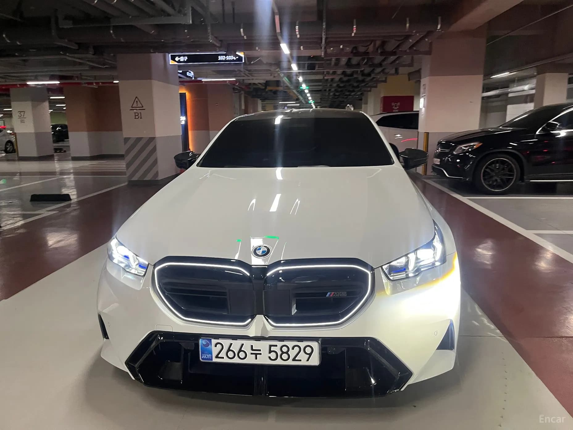 M5 (G90)