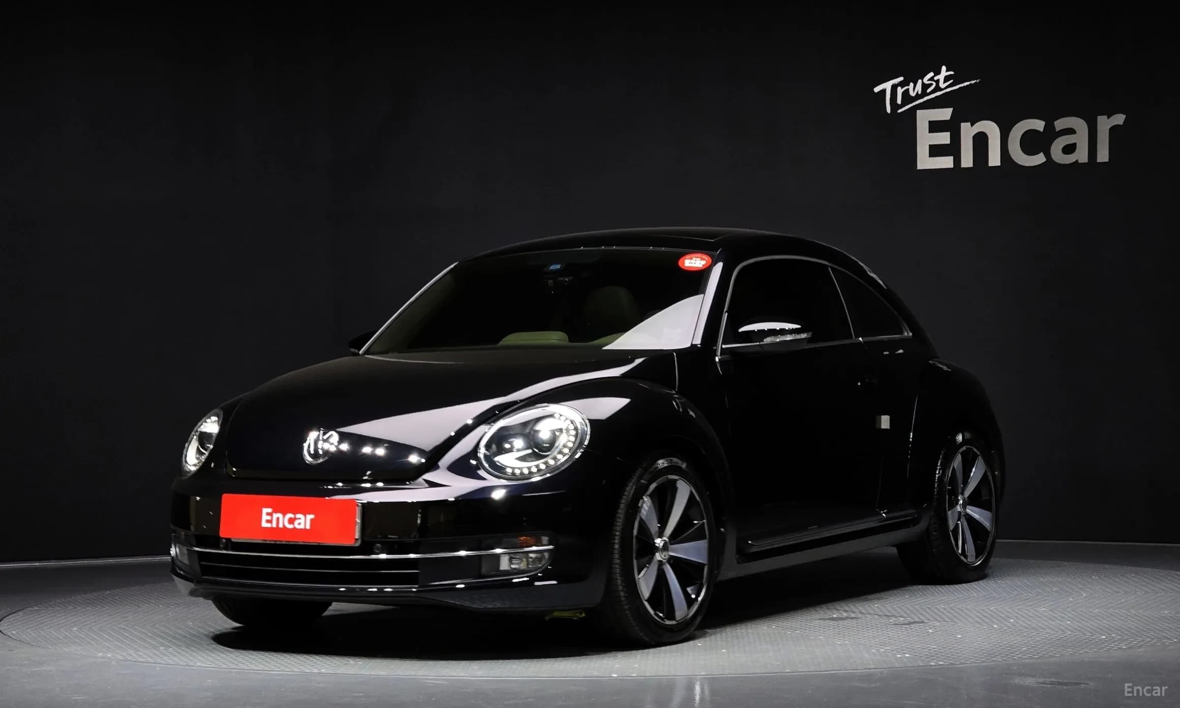 The Beetle