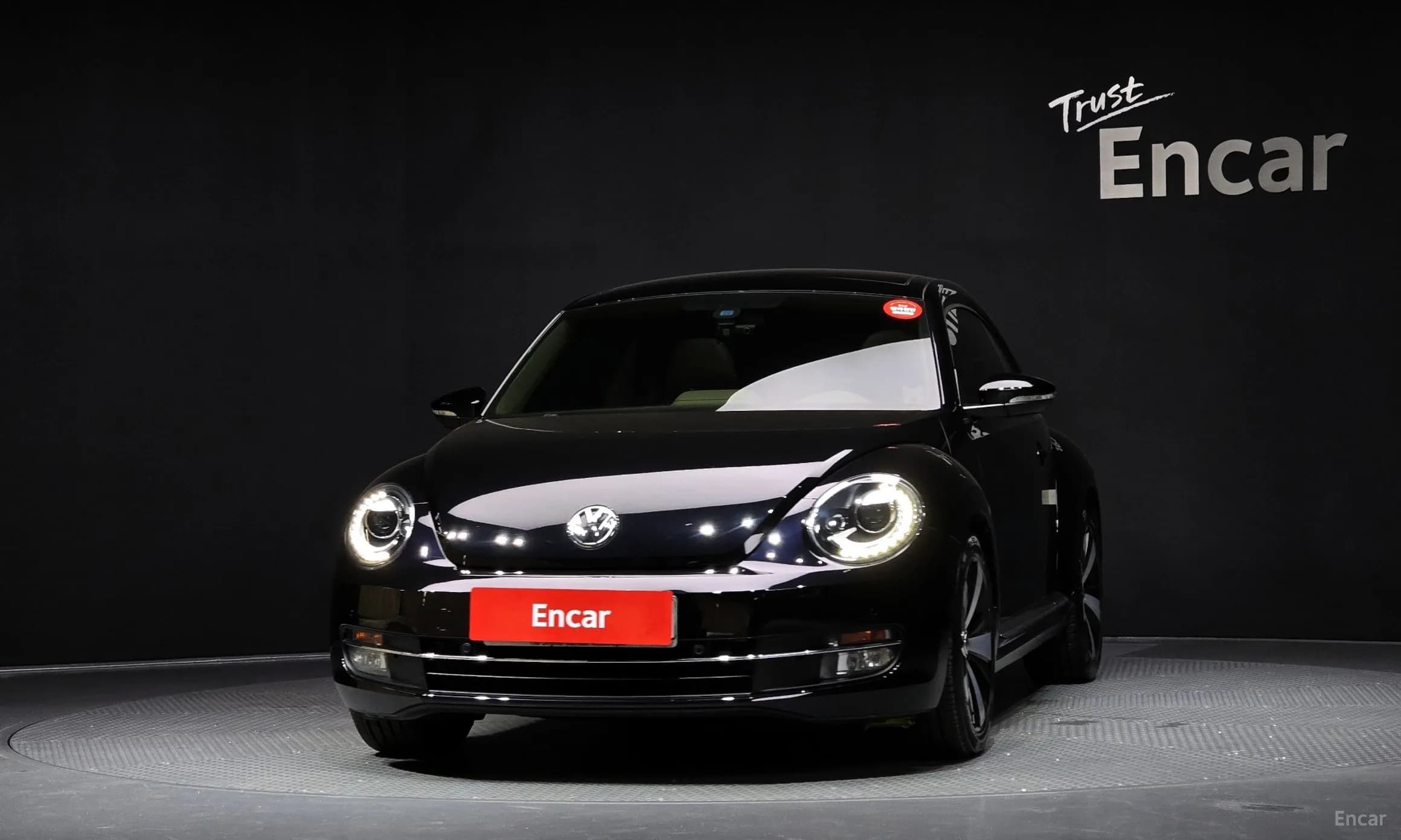 The Beetle