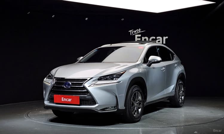 NX300h