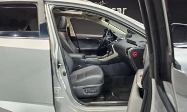 NX300h